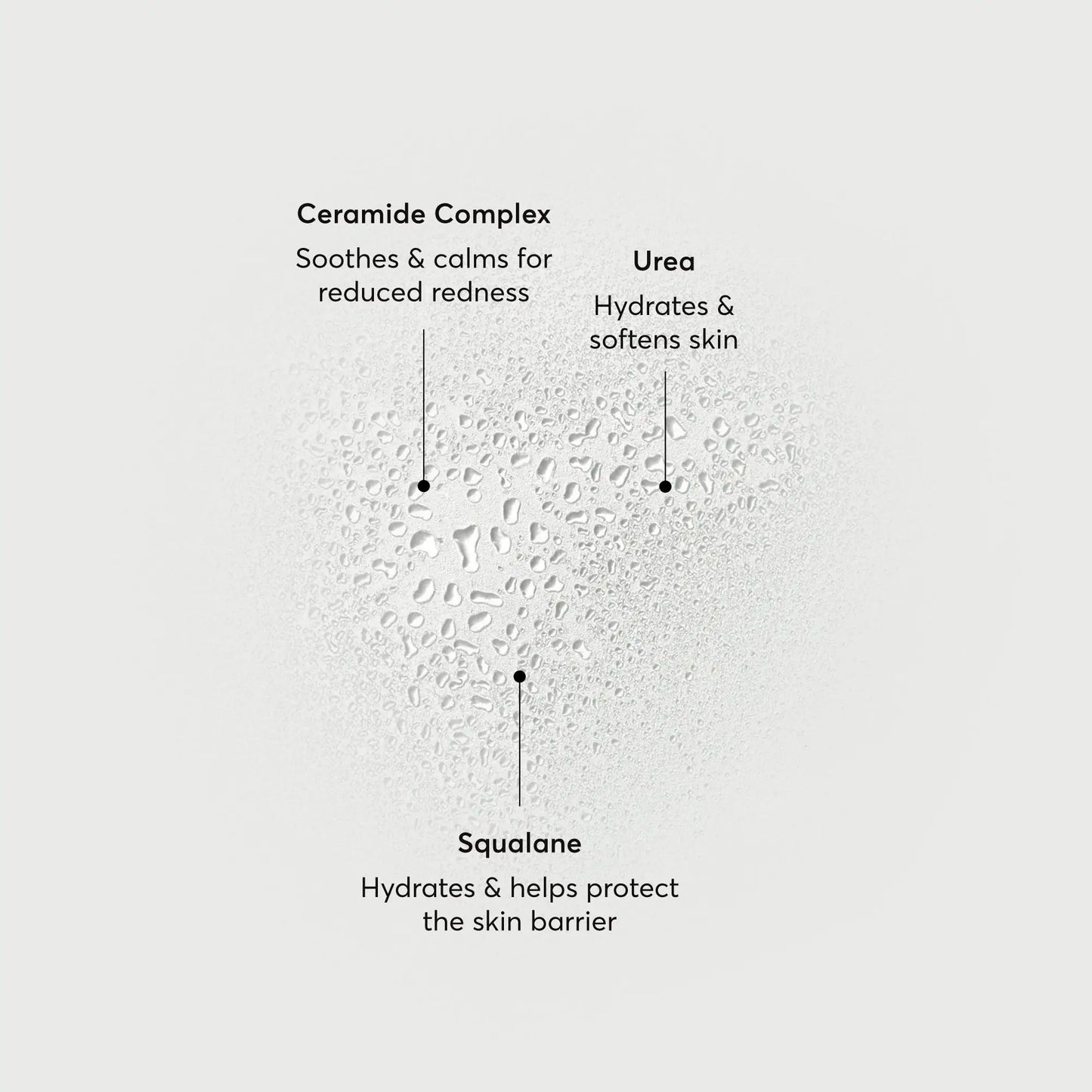 barrier-bounce-bi-phase-mist-l0 NATR-10167-Alt-Images-Barrier-Bounce-Bi-Phase-Toner-Mist_01.webp