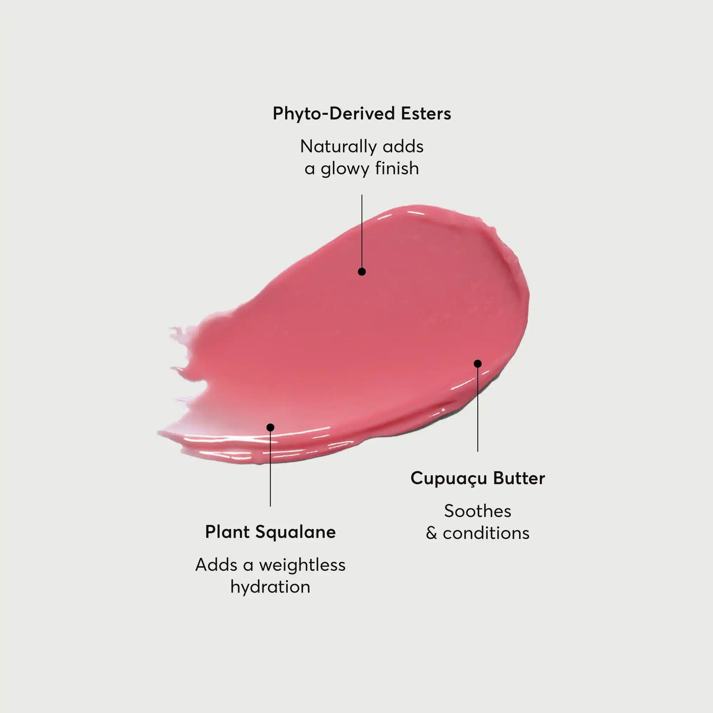 phyto-glow-lip-balm-petal-l5 NATR-60067-Alt-Images-Phyto-Glow-Lip-Balm-Petal-01.webp