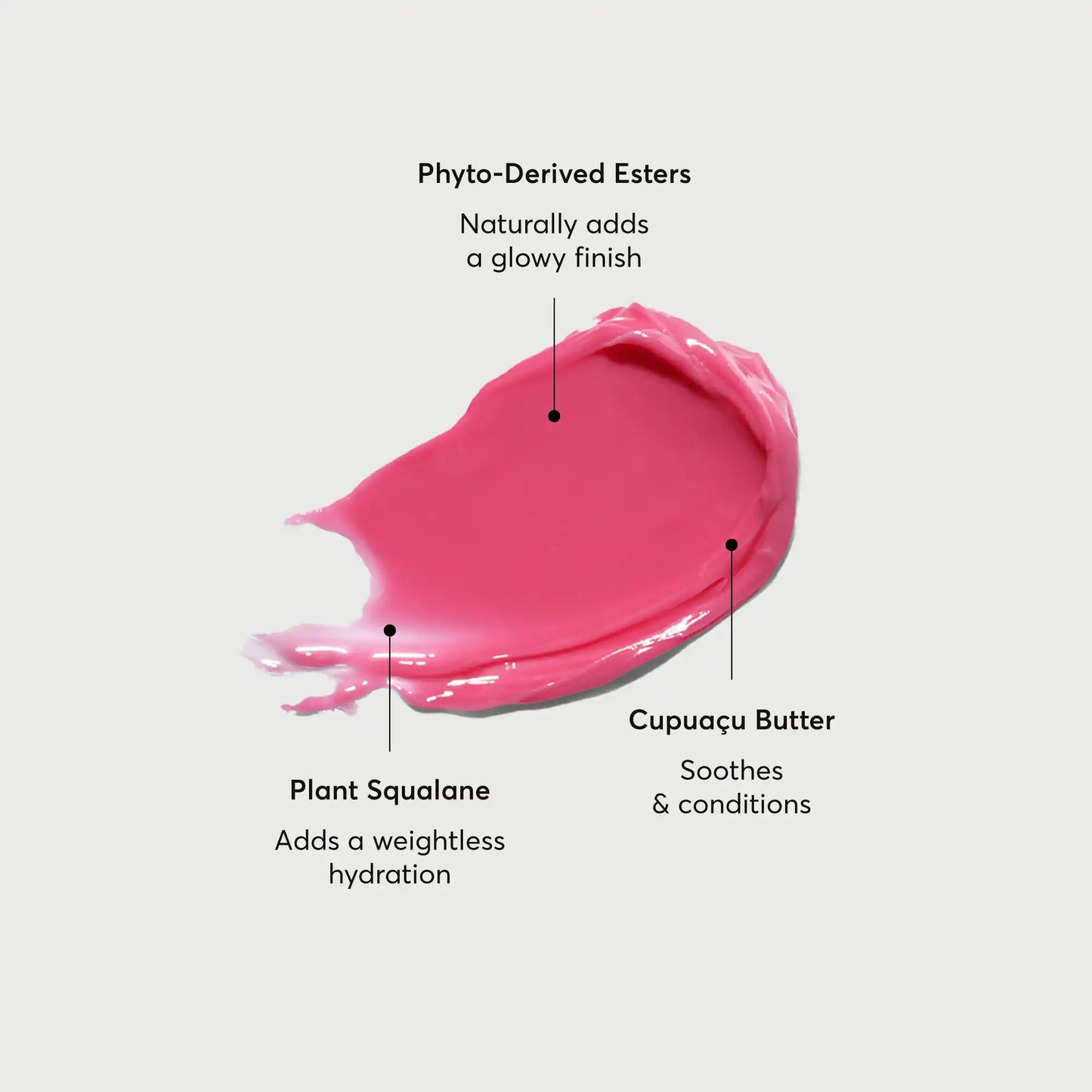 phyto-glow-lip-balm-camellia-n8 NATR-60075-Alt-Images-Phyto-Glow-Lip-Balm-Camellia-01.webp